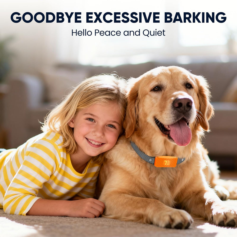 KJKZO 2-year warranty and 12-hour support for worry-free ownership
