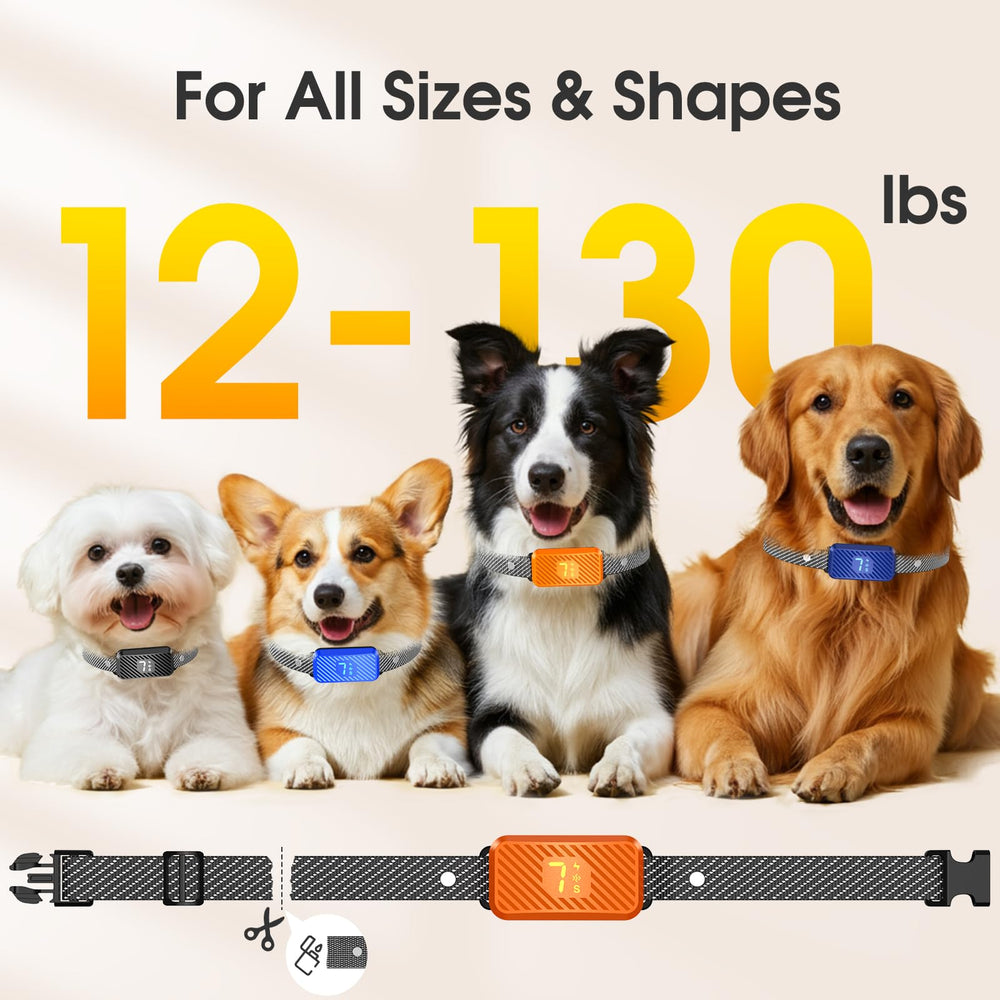KJKZO bark collar waterproofing in rain supporting outdoor activities.