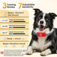 KJKZO collar demonstrates 0.1s response for near-instant bark correction.