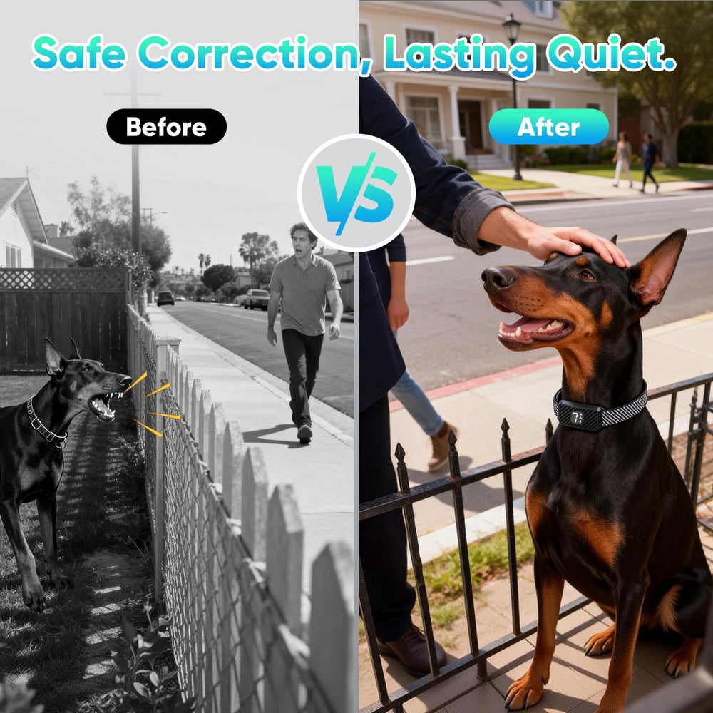 KJKZO AI dual-detection system avoids false triggers during training