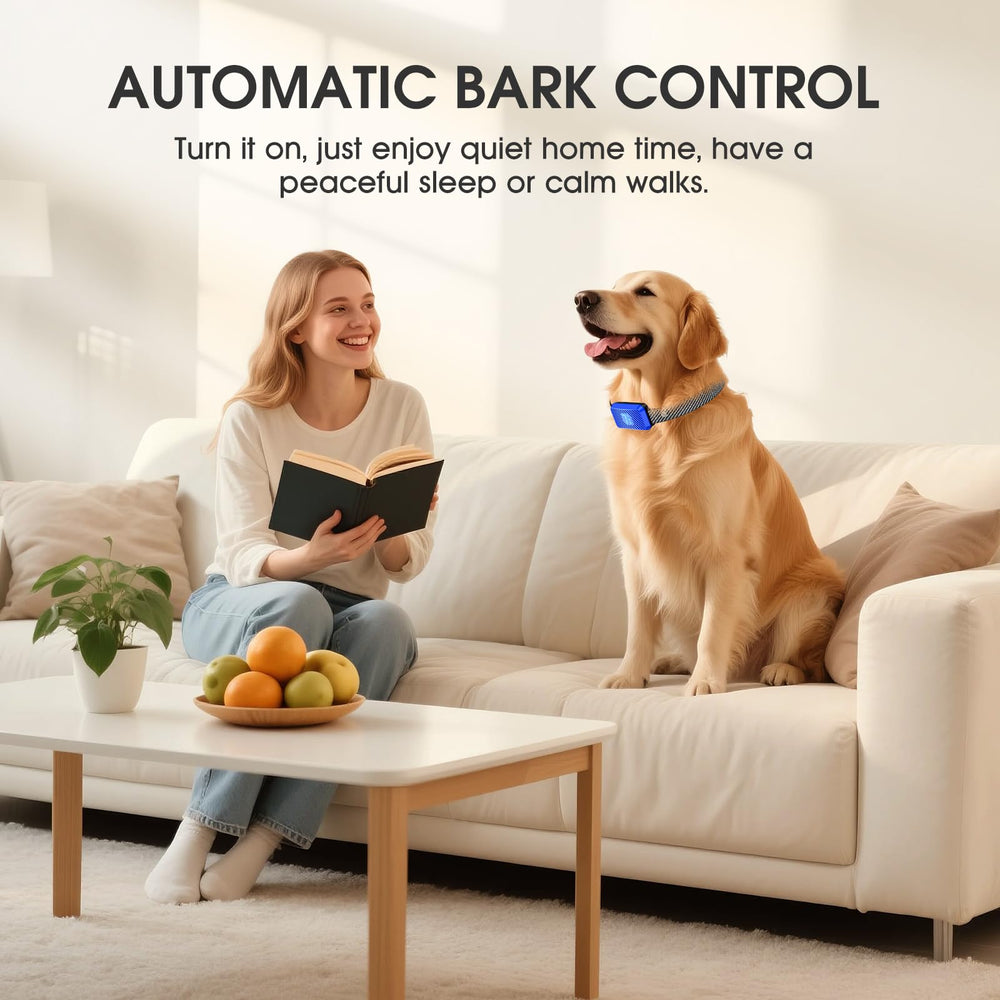 KJKZO bark collar worn on dog during walks enables calm sessions.