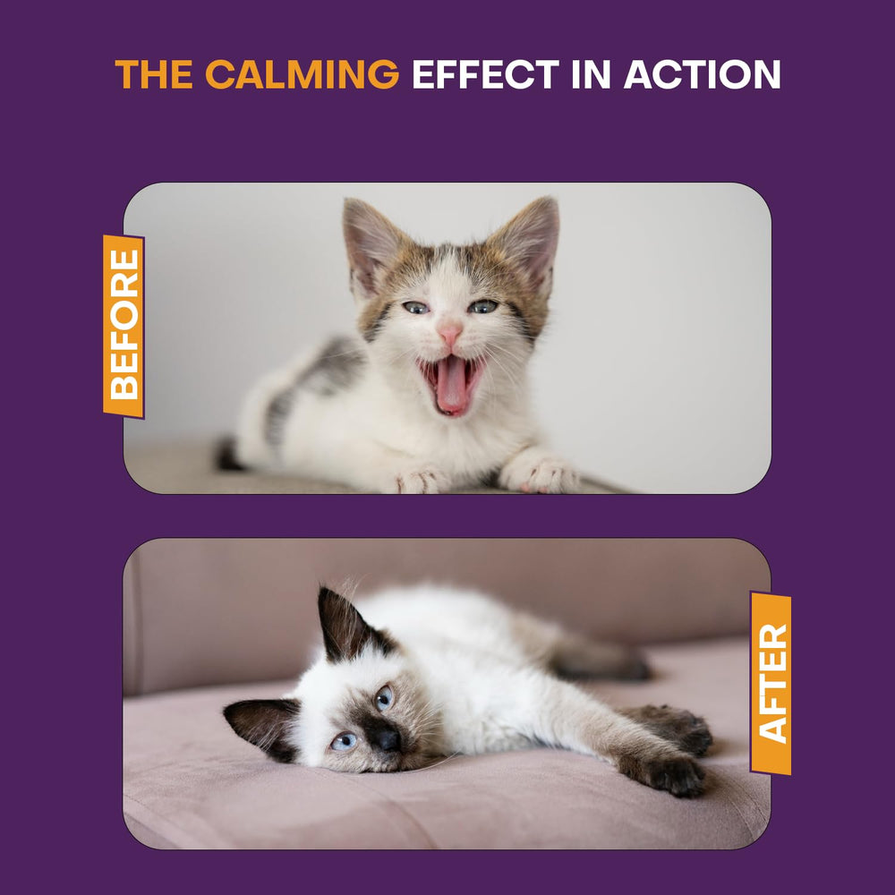 Klioak diffuser used during a storm to reduce environmental stress.