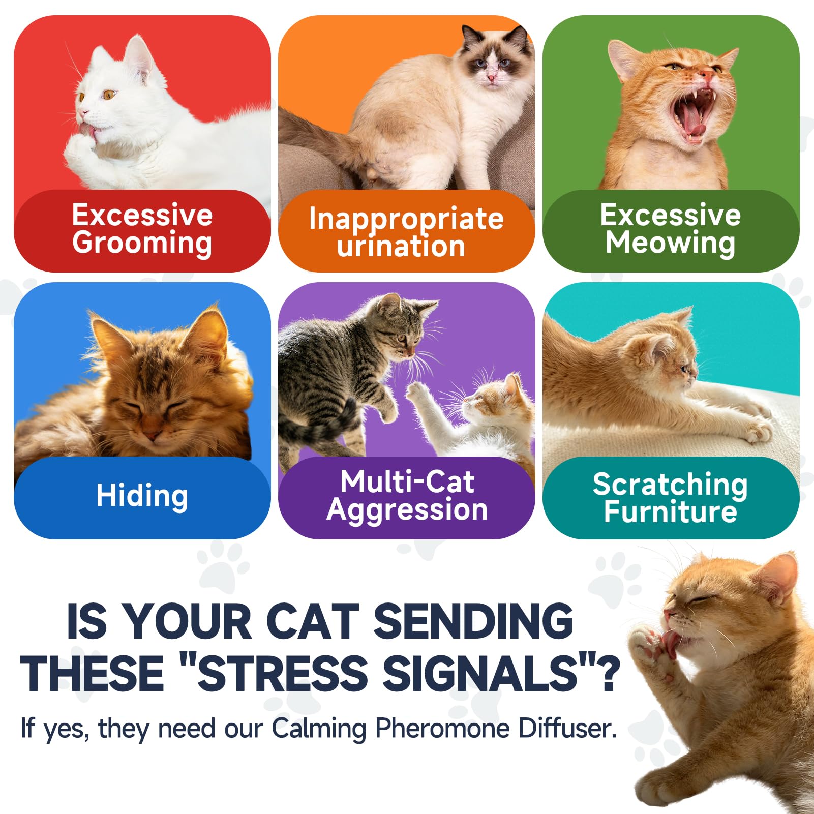 KLOMKMCL cat diffuser refills four bottles ensuring extended calm.