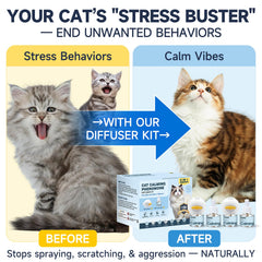 KLOMKMCL cat pheromone diffuser plug-in unit in home setting, soothing cats.