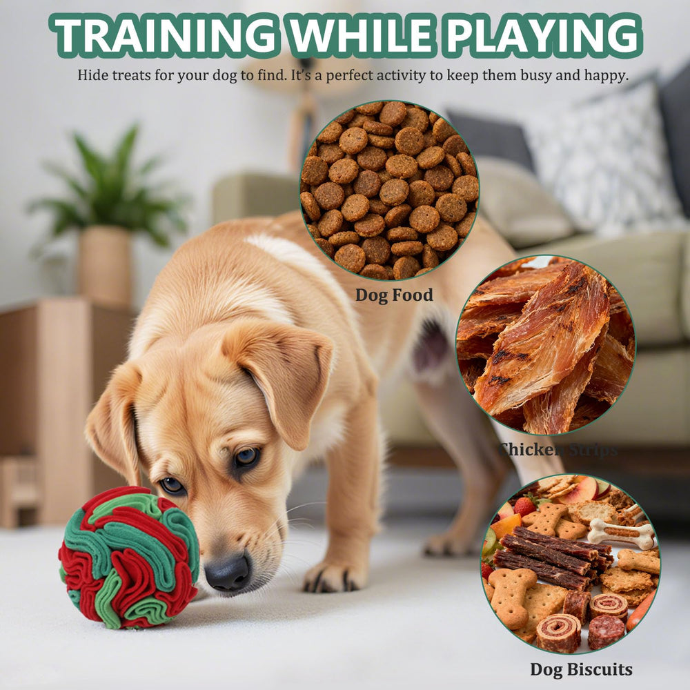 kmirepa Snuffle Ball treat-hidden view demonstrates foraging engagement.