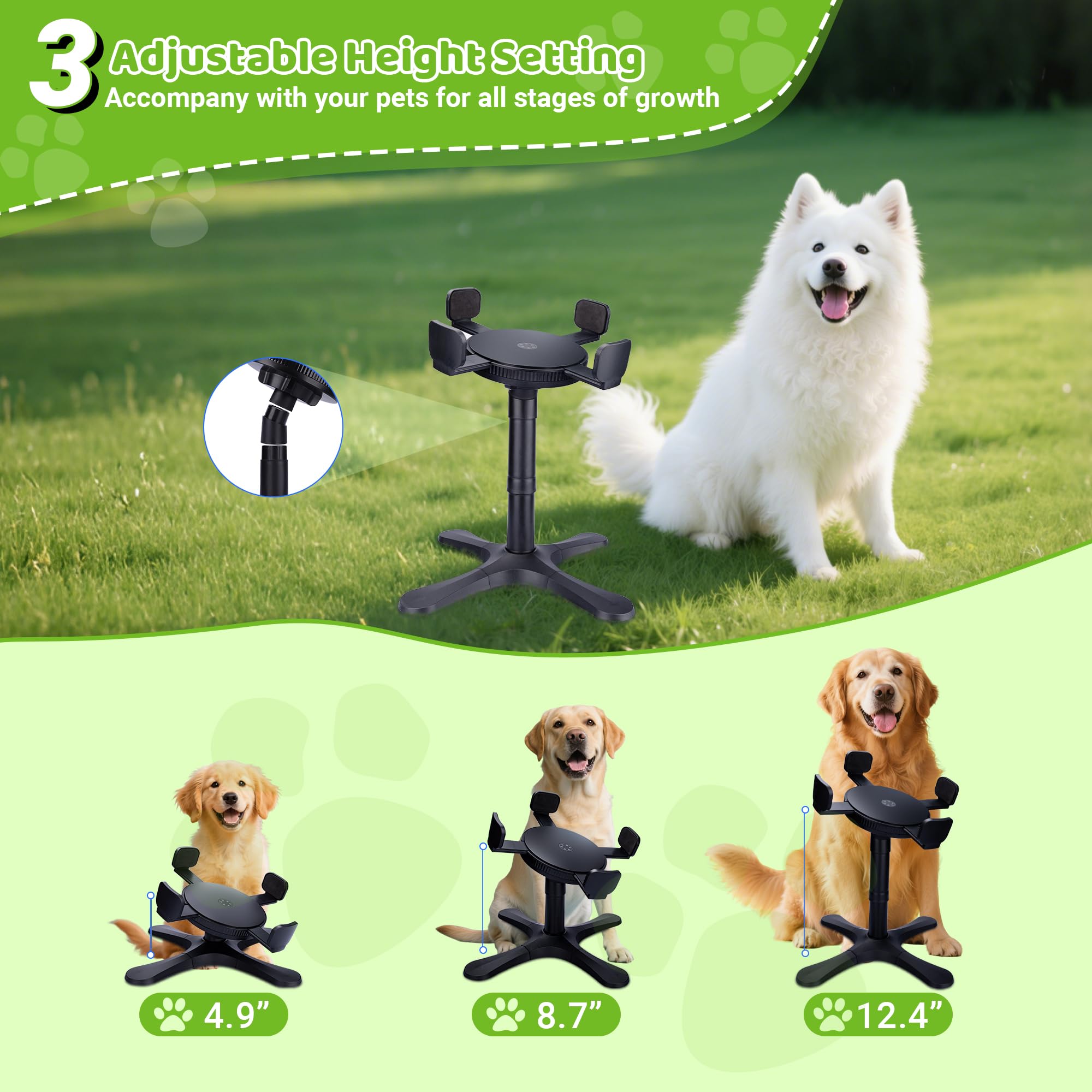 KMXASP durable, detachable bowl enables quick cleaning after feeding.