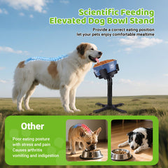 KMXASP three-height tilt stand enables easy reach for growing dogs