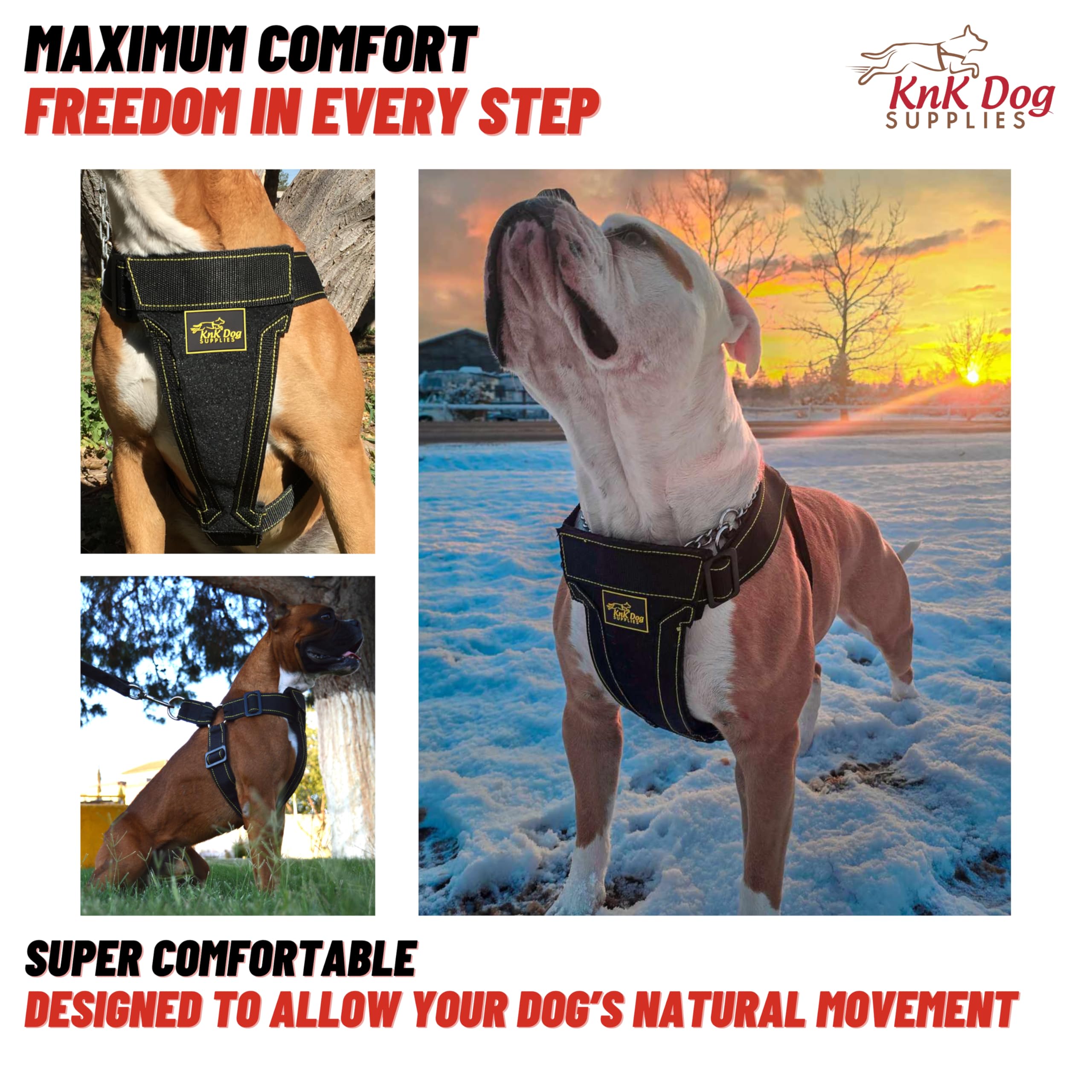 KNK adjustable sliding straps provide a stable fit for large dogs.