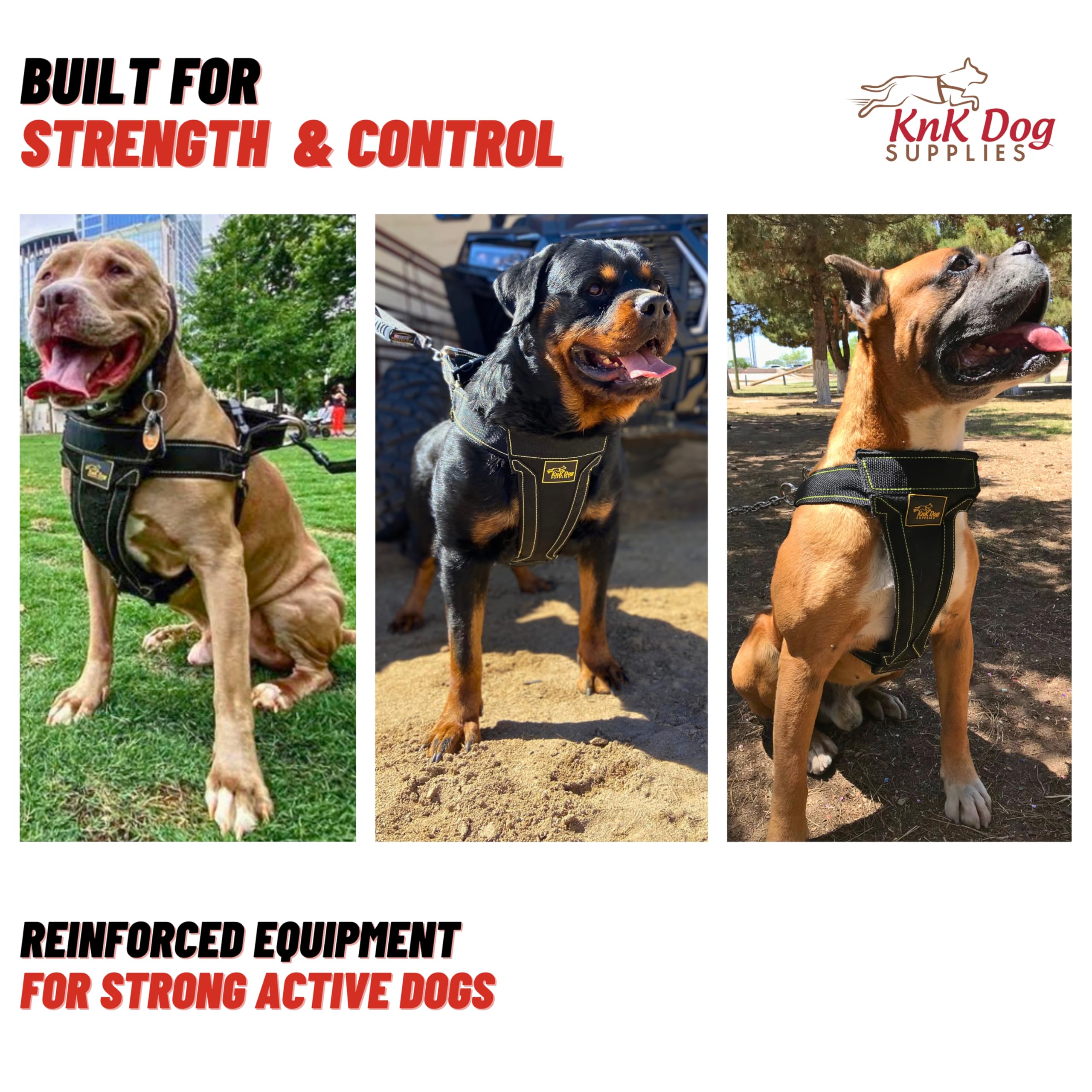KNK secure leash connection for reliable control on trails.