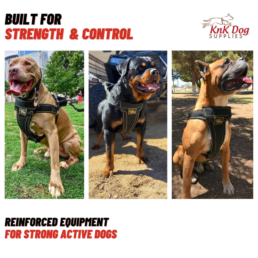 KNK secure leash connection for reliable control on trails.