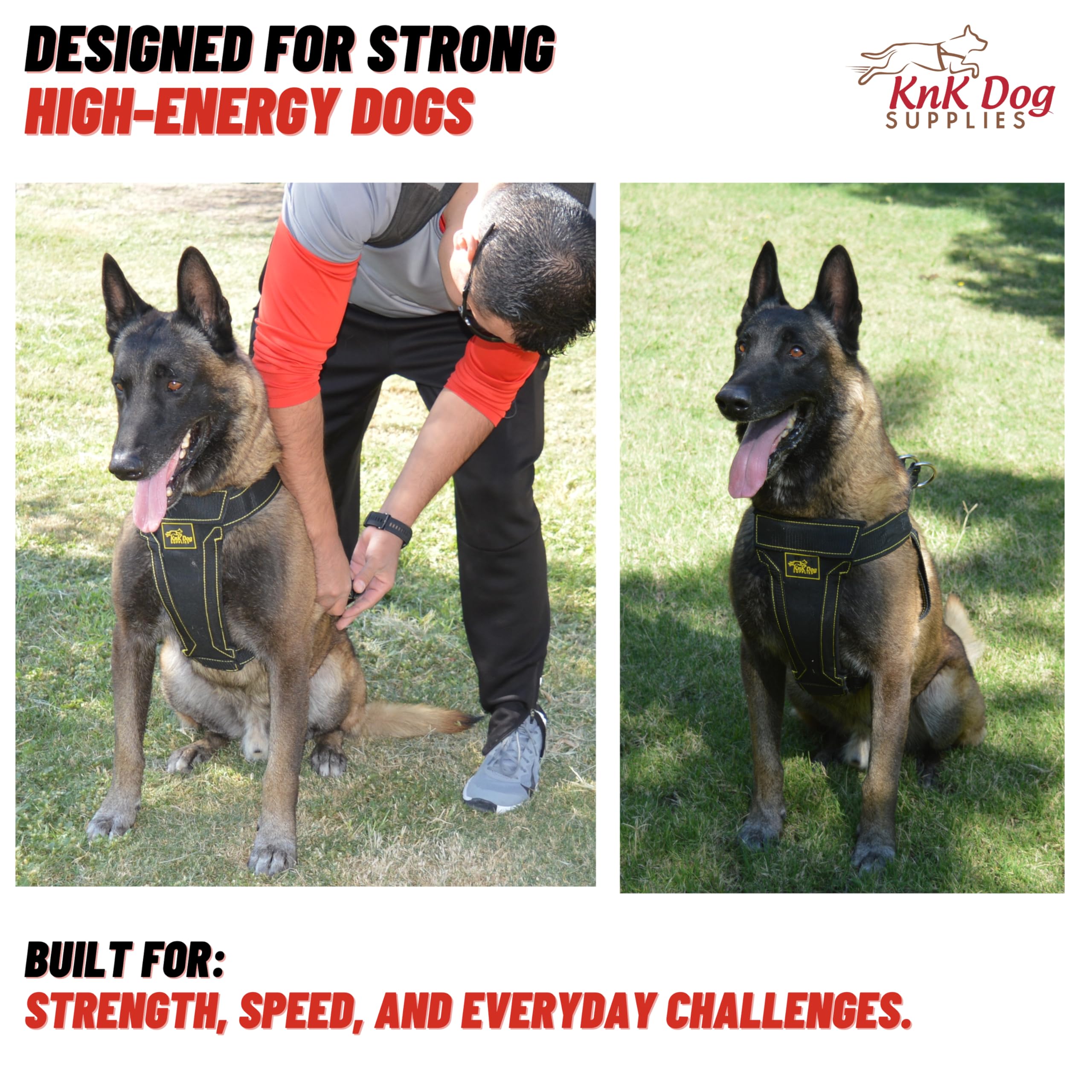 KNK welded hardware and D-rings resist power-breed strength during walks.