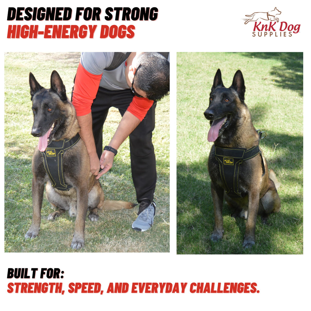 KNK welded hardware and D-rings resist power-breed strength during walks.