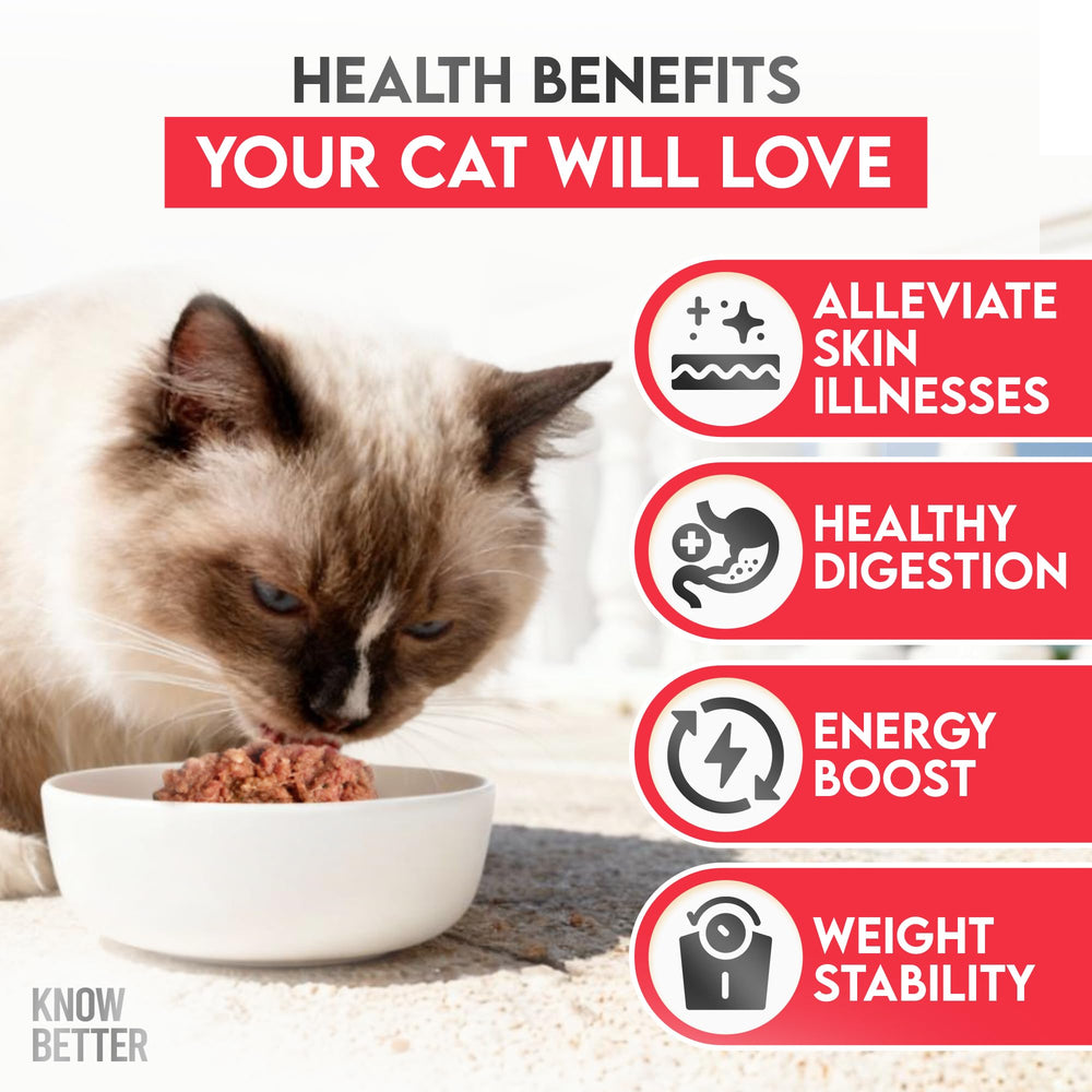 Know Better Premix finished meal in a bowl for cats.
