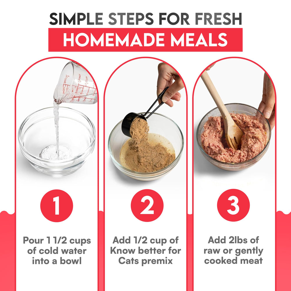 Know Better Beef Premix 4.8oz pack for convenient cat nutrition.