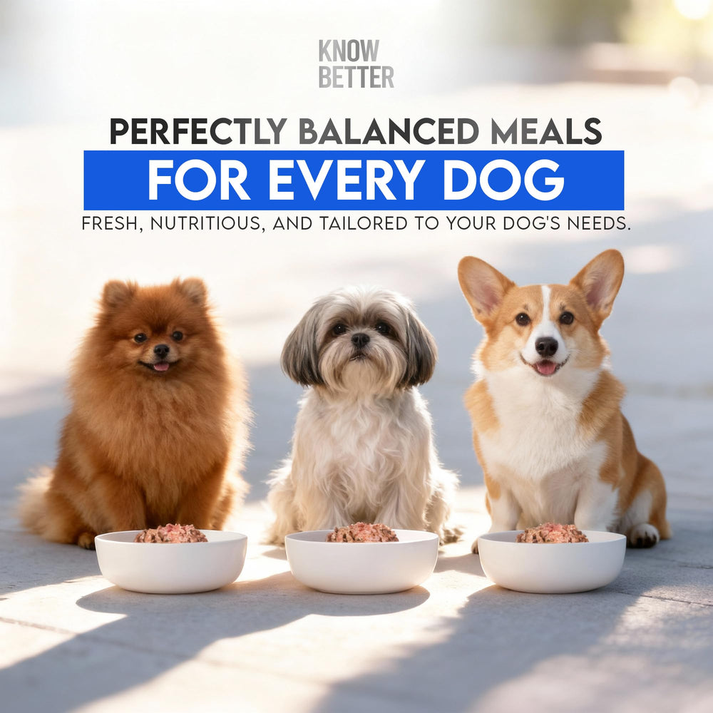 Know Better 4.8 oz pack makes up to 6 lbs finished food.