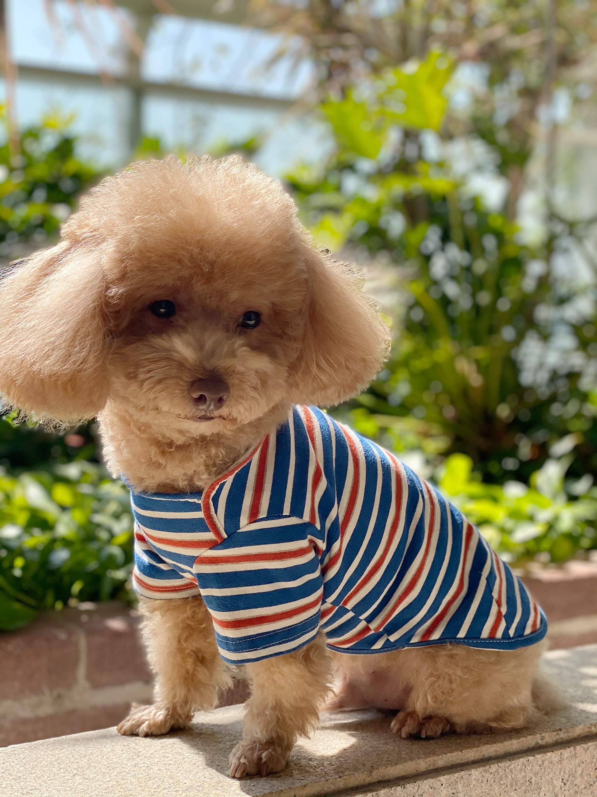 Knuffelen pull-on dog shirt, easy on/off for quick dressing.
