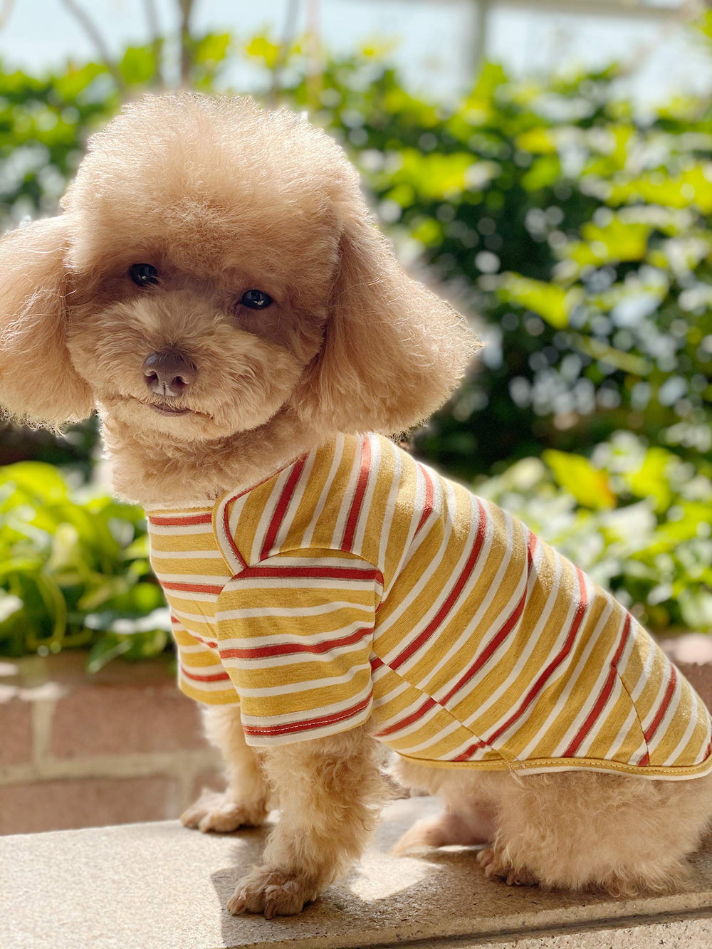 Knuffelen lightweight stretch striped tee, soft fabric for all-day comfort.