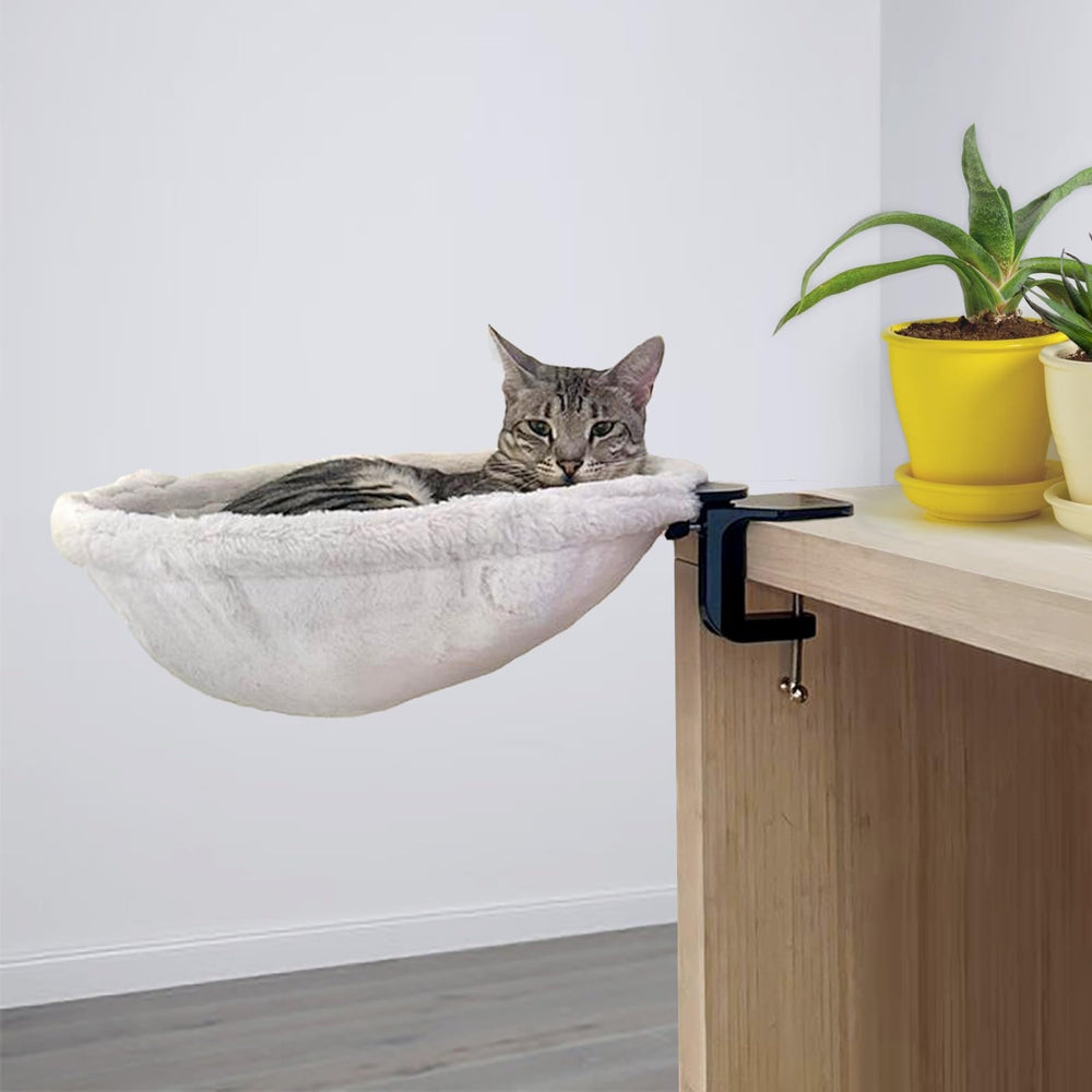 Kobuddy cat desk bed mounted setup shows secure near desk companionship for work