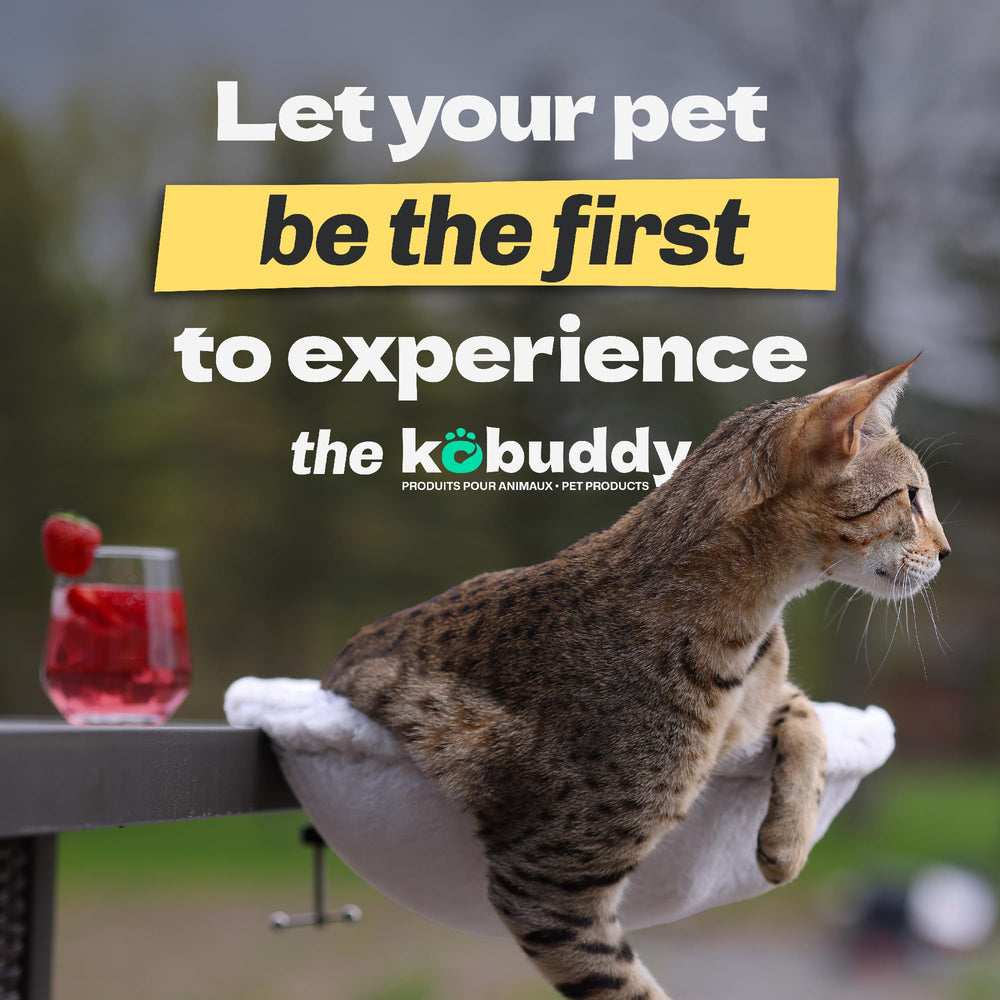 Kobuddy cat desk bed on desk usage for easy pet access during tasks