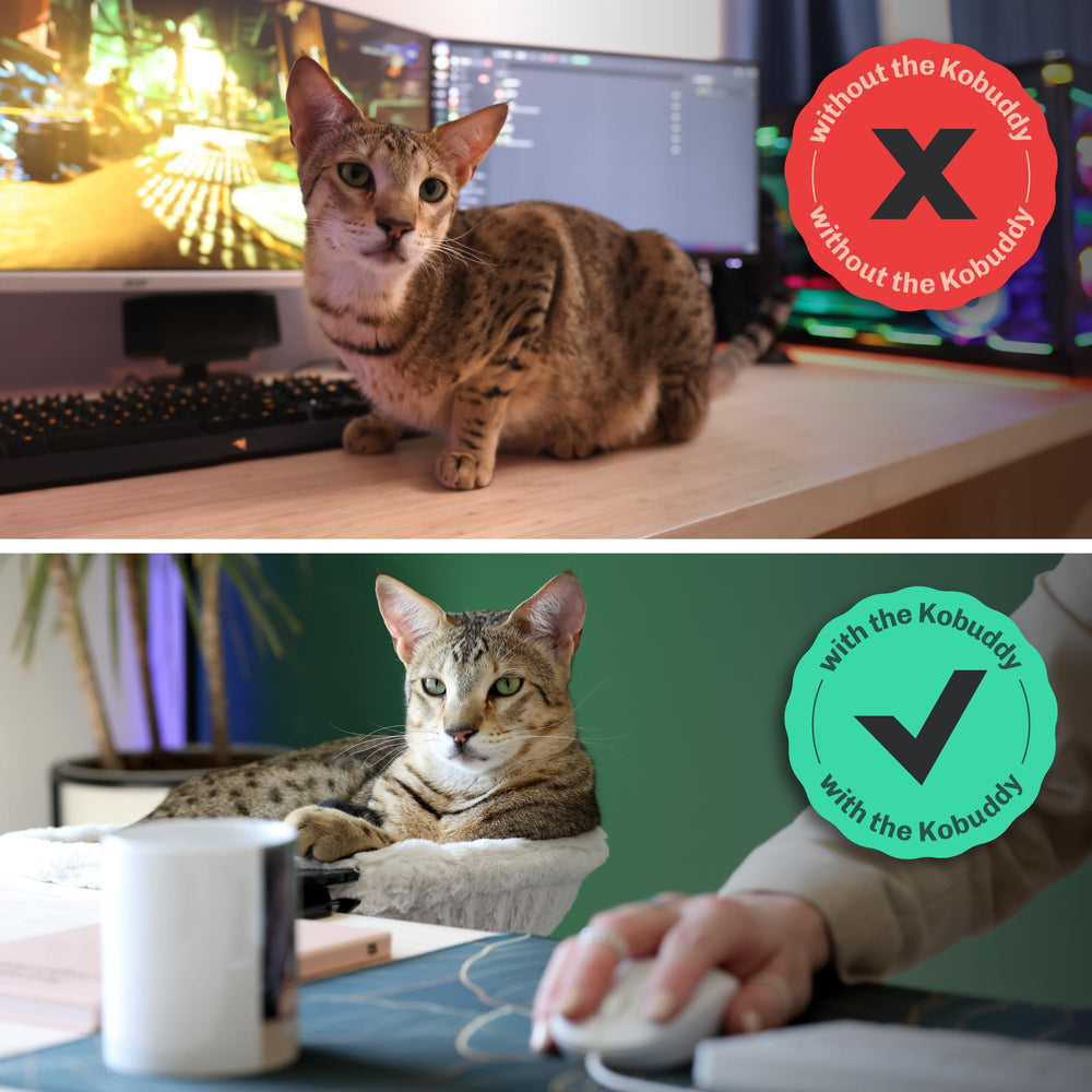 Kobuddy cat perch office setup demonstrates space saving in a busy office