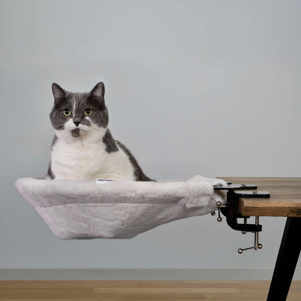 Kobuddy XL cat desk hammock spacious oval bed for larger cats