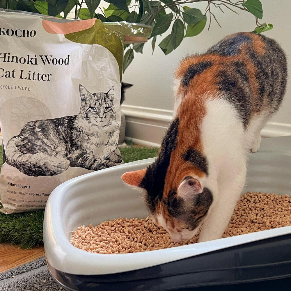 KOCHO Hinoki litter demonstrates odor-control properties in action.