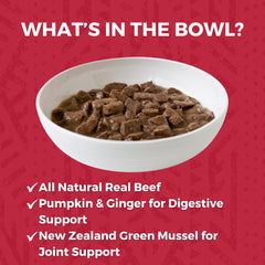 KOHA beef stew serving bowl — convenient, hydration-rich meal for dinnertime.