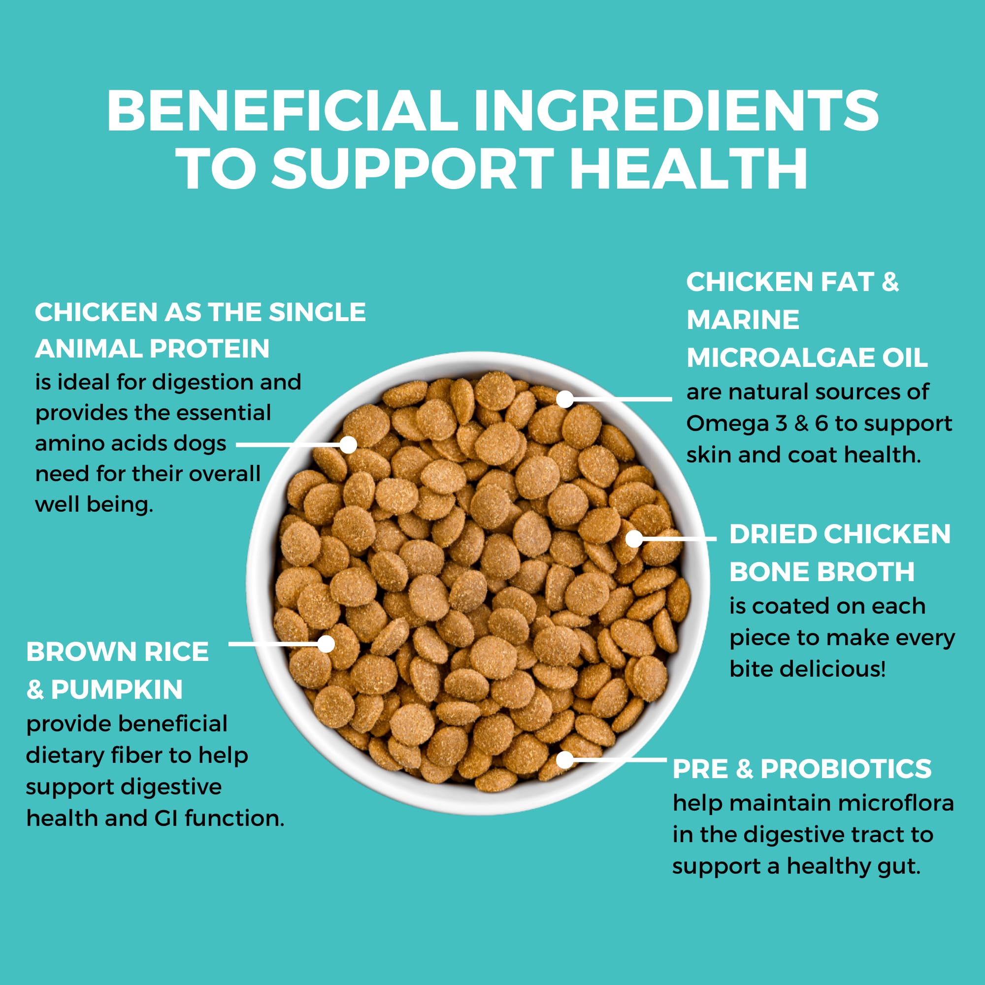 KOHA bland diet kibble in a bowl, chicken and brown rice for easy digestion.
