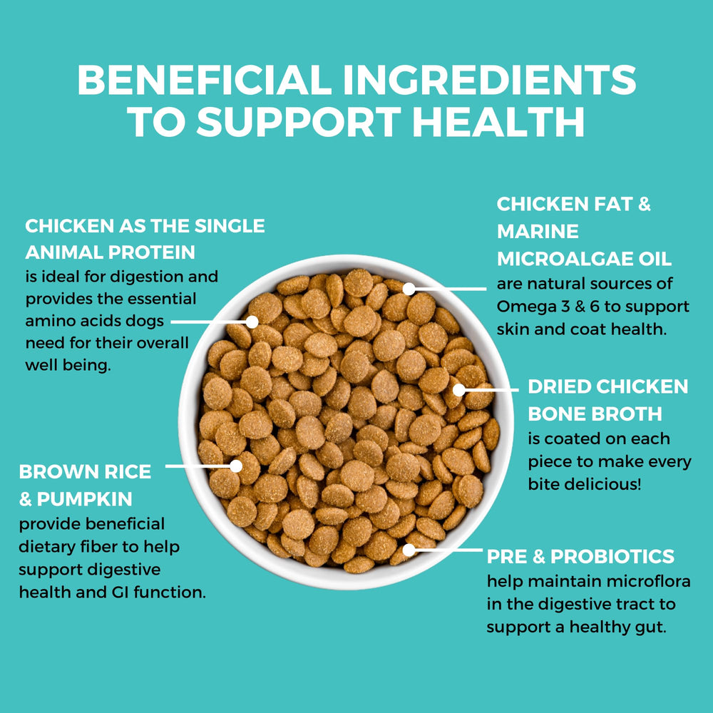 KOHA Bland Diet kibble in a bowl for easy daily meals