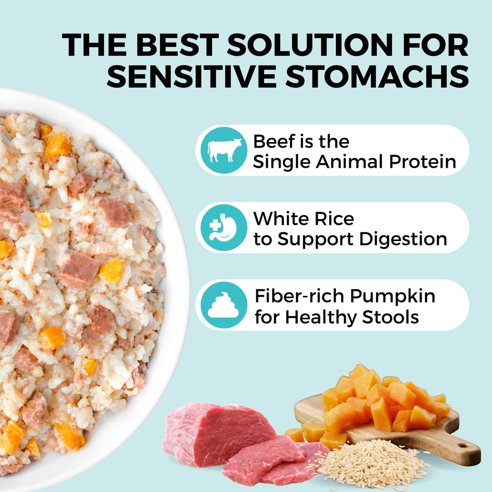 KOHA Bland Diet close-up shows beef texture and rice for easy digestion