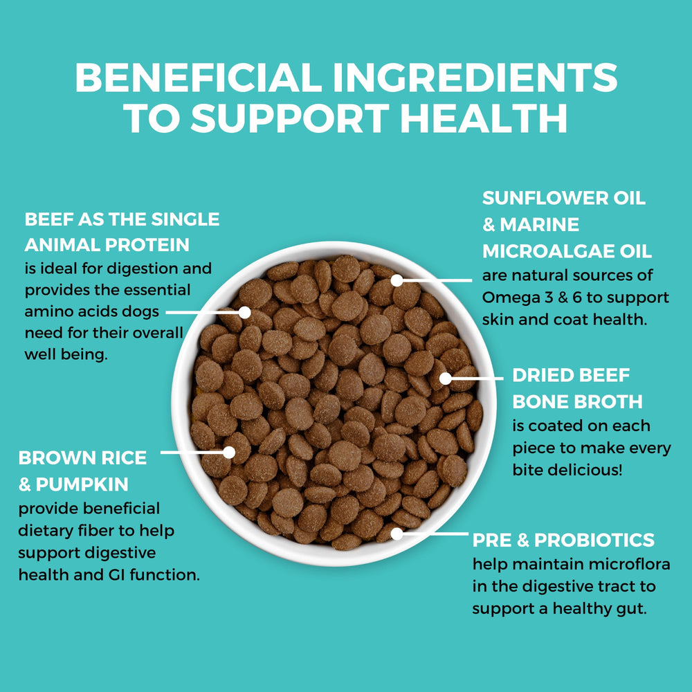 KOHA bone broth coated bites appealing and gut-friendly