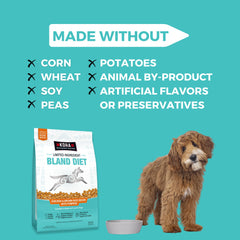 KOHA bone broth coated kibble close-up showing flavor boost