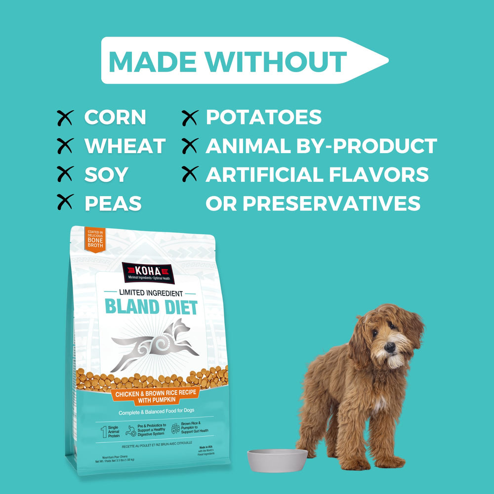 KOHA bone broth coating on kibble highlights flavorful texture.