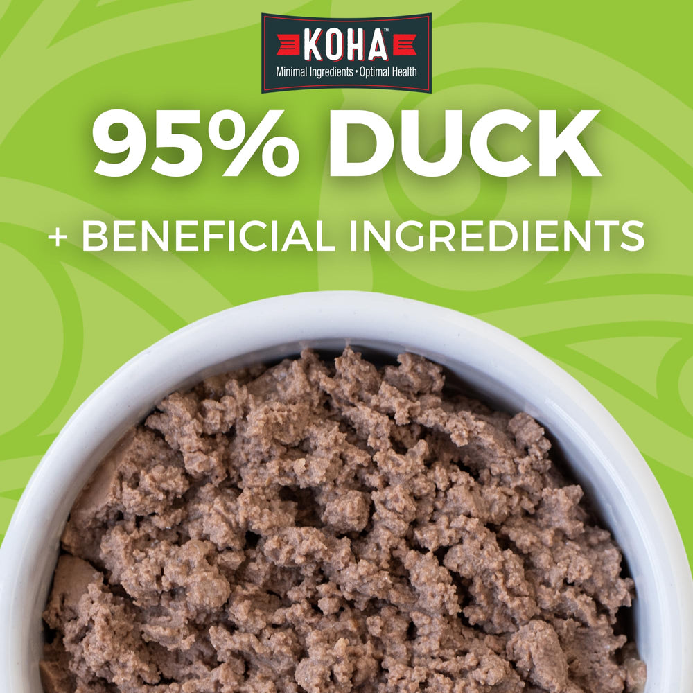KOHA Duck Pate single-meat ingredient label highlights simple recipe for sensitive stomachs.