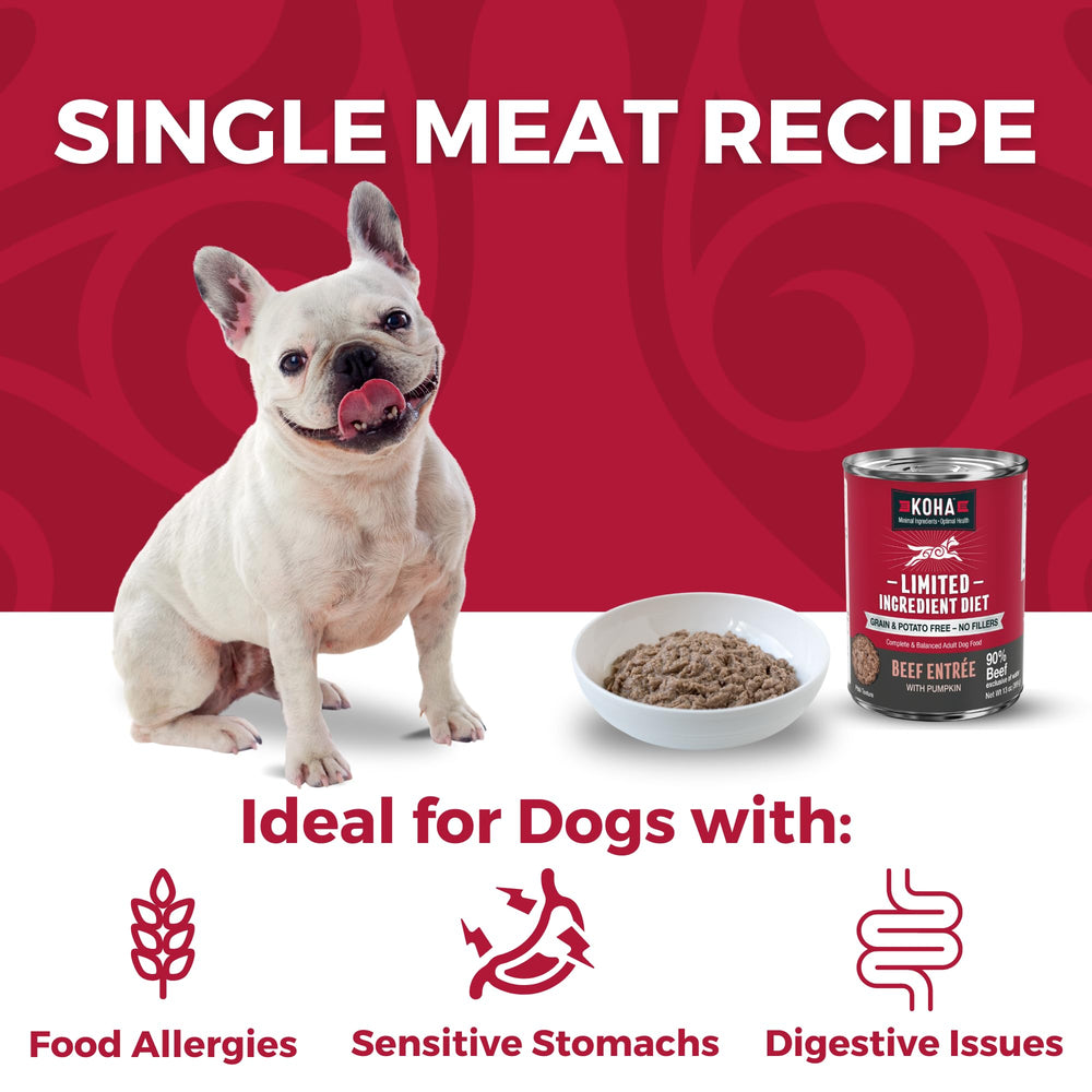 KOHA grain-free wet dog food close-up shows juicy beef pieces.
