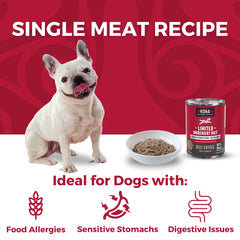 KOHA grain-free wet dog food close-up shows juicy beef pieces.