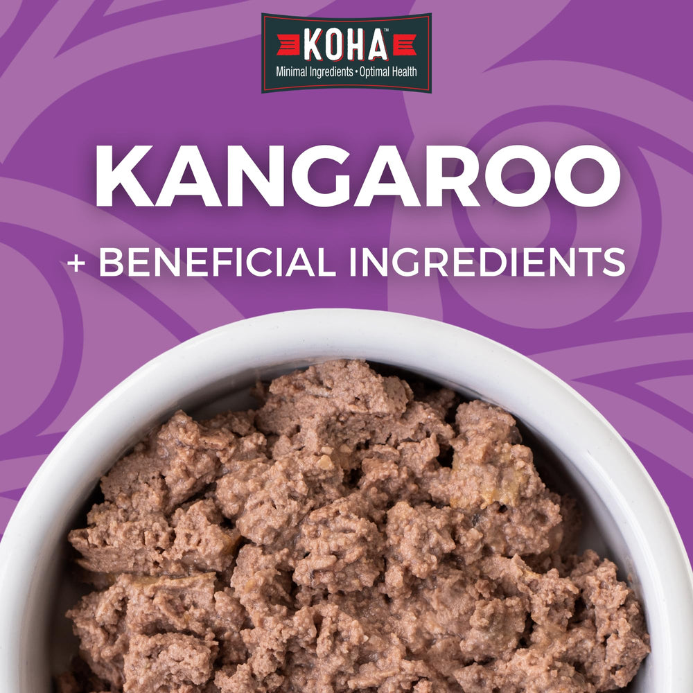 KOHA Kangaroo Paté served in a bowl highlighting palate-friendly texture cats enjoy.