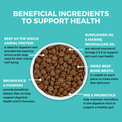 KOHA pumpkin focus showcases digestive support through gentle fibers and stool balance.