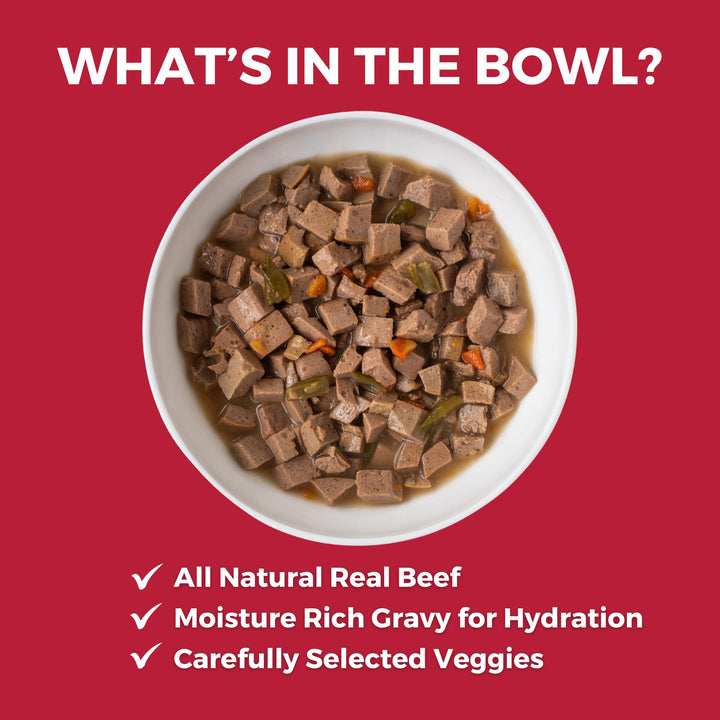 KOHA Lone Star Brisket Stew served in bowl appeals to picky eaters with gravy