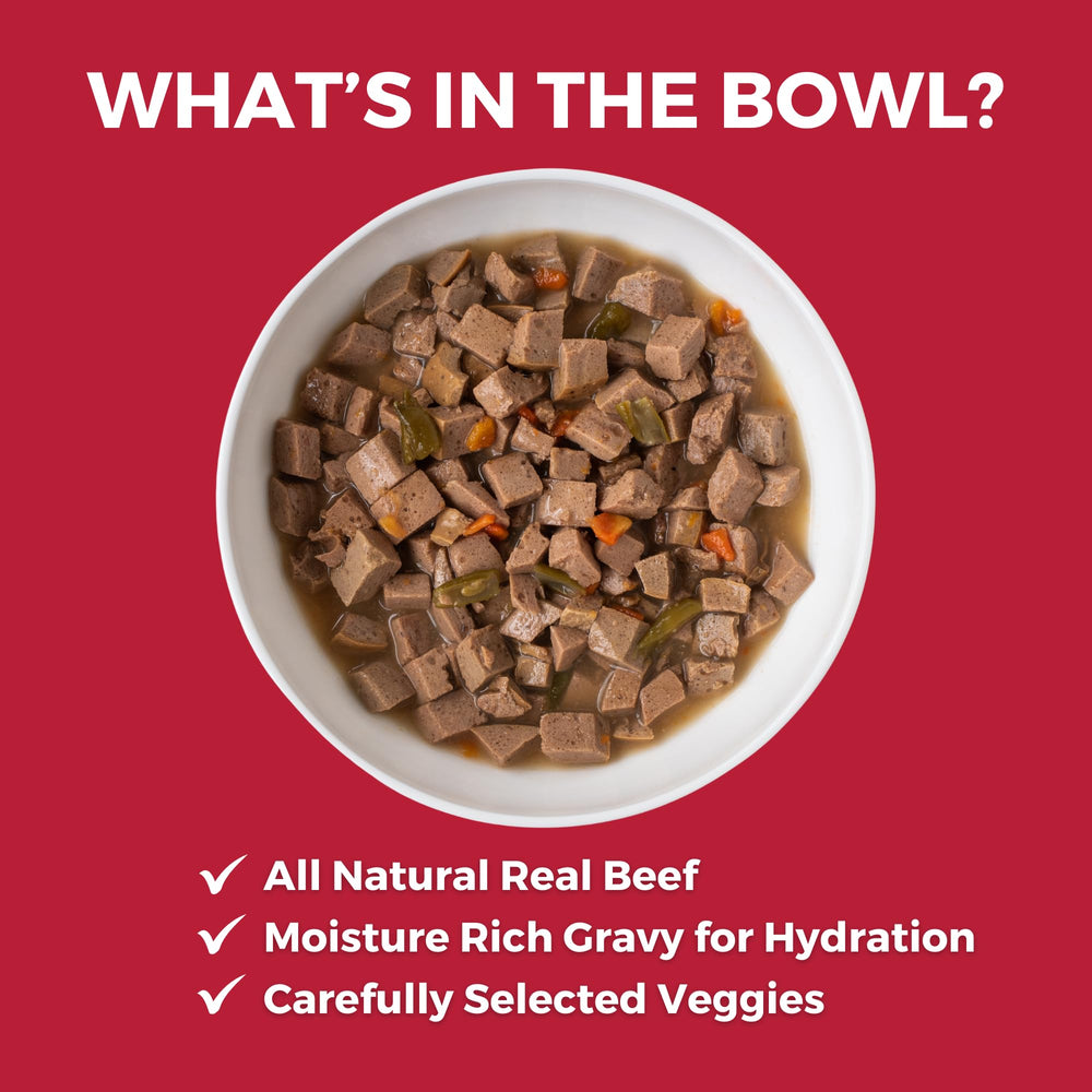 KOHA Lone Star Brisket Stew served in bowl appeals to picky eaters with gravy