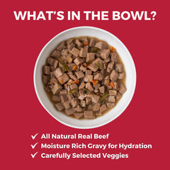 KOHA Lone Star Brisket Stew served in bowl appeals to picky eaters with gravy