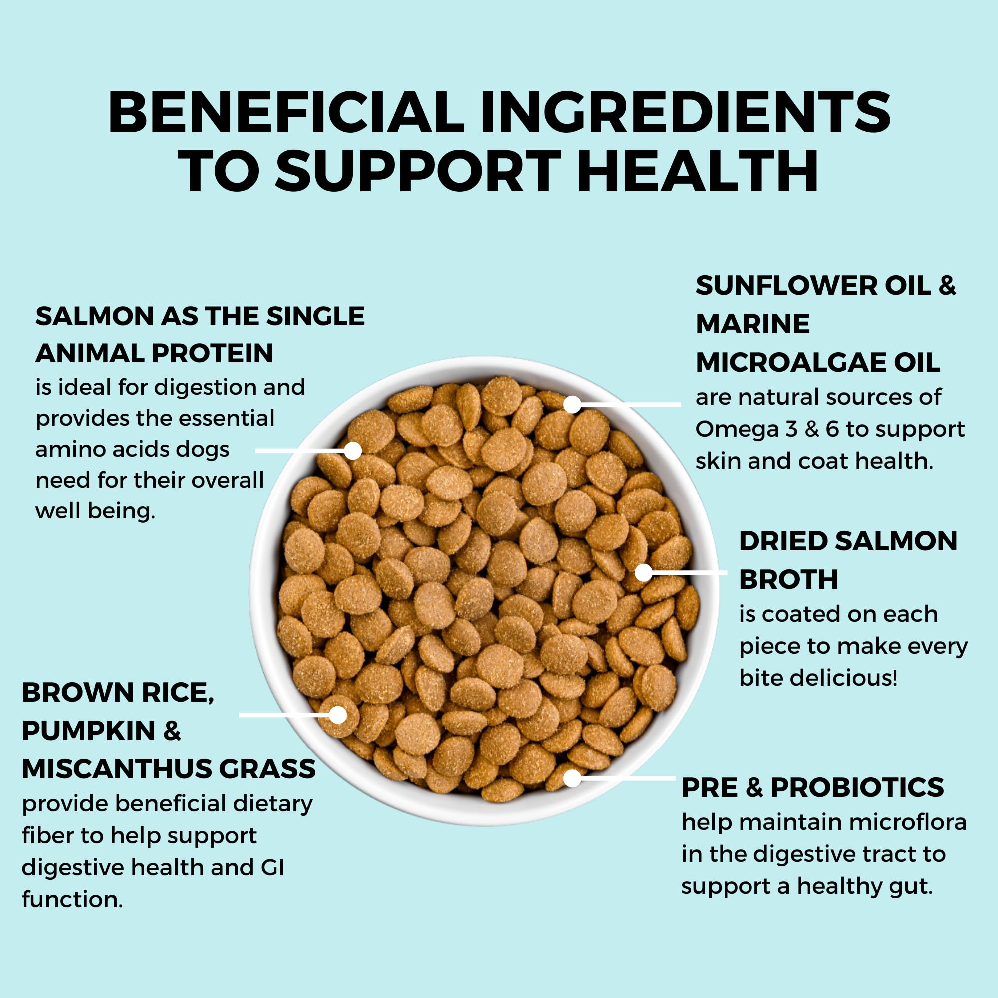 KOHA omega fatty acids help maintain healthy skin and coat.