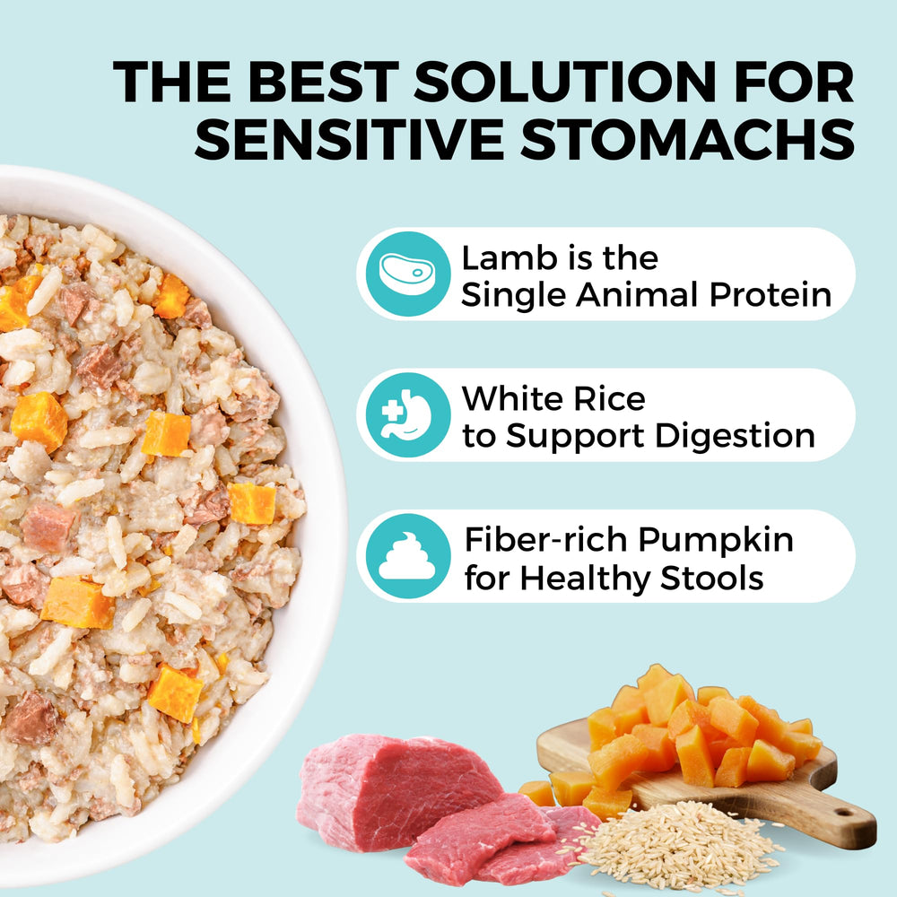 KOHA Pet Bland Diet serving bowl with moist texture for mealtime.