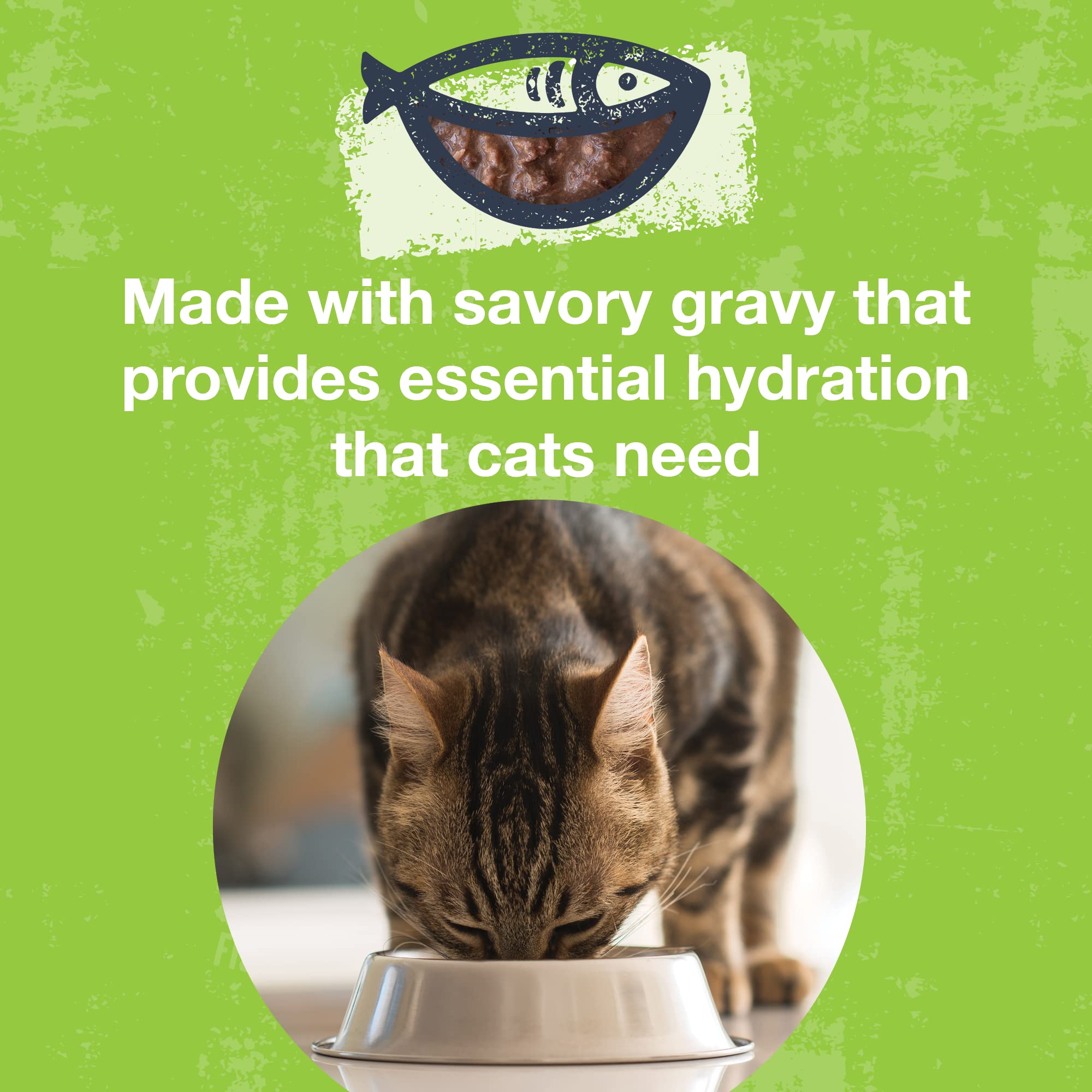 KOHA Poké Bowl cat meal setting illustrates easy portioning for 3 oz pouches.