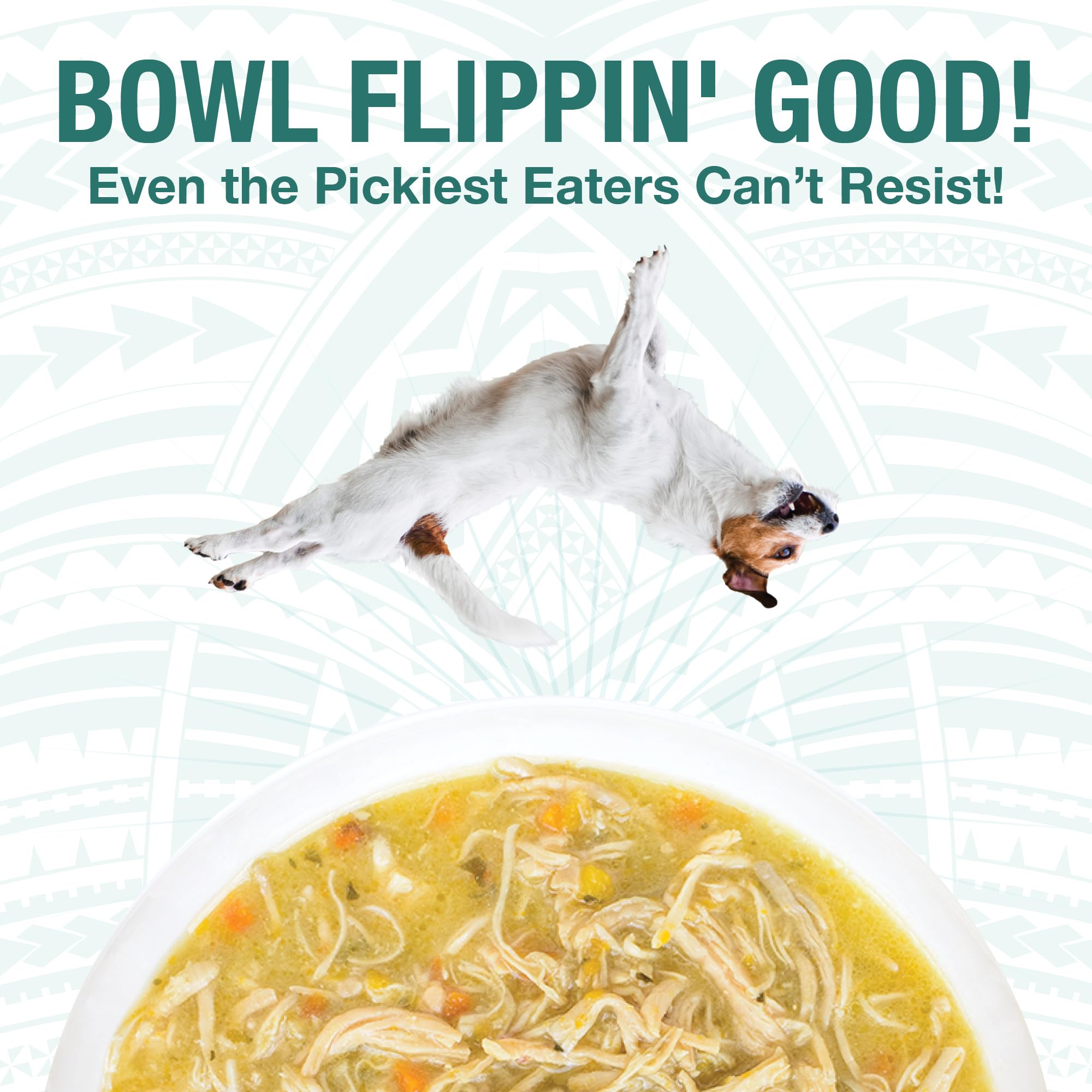 KOHA Pure Shreds chicken can offers savory shredded chicken in broth for everyday meals.