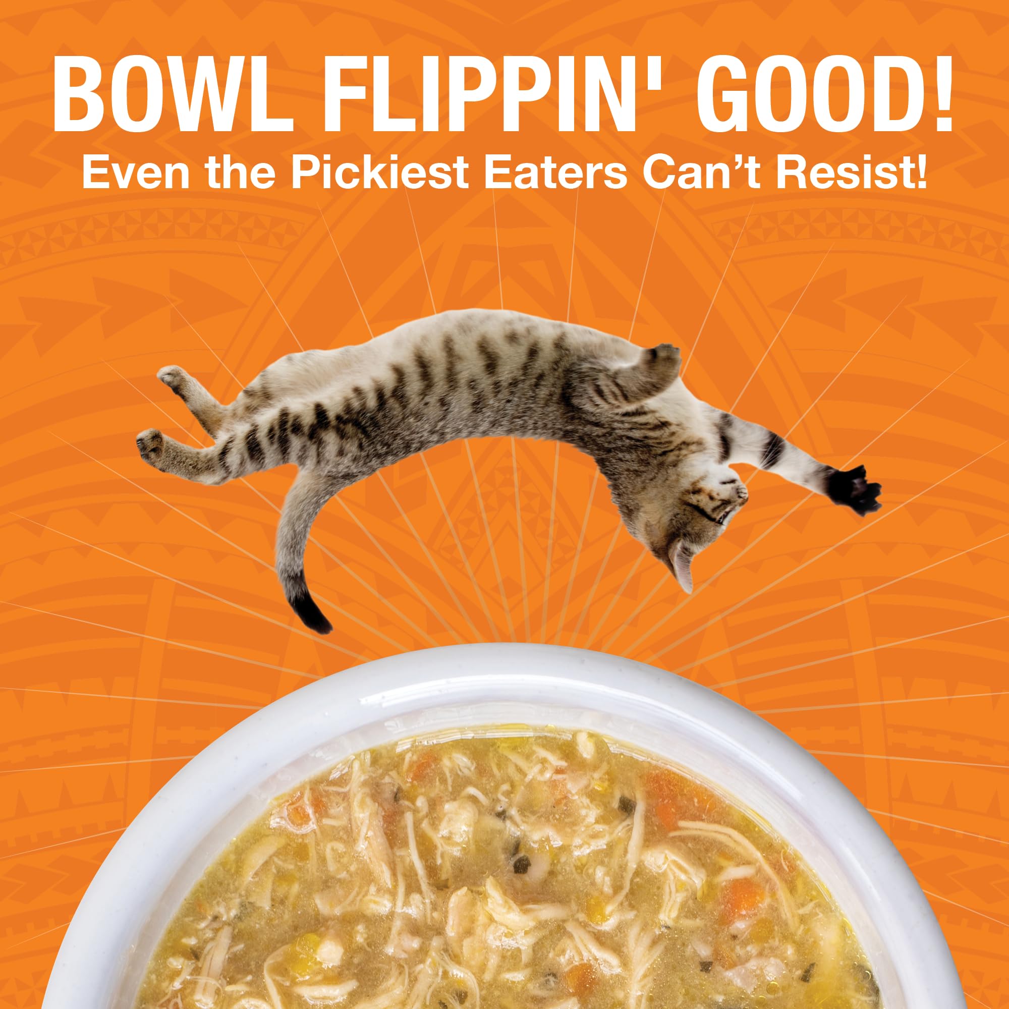 KOHA Pure Shreds chicken entree in broth appears moisture-rich and digestible