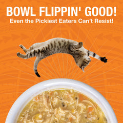 KOHA Pure Shreds chicken entree in broth appears moisture-rich and digestible
