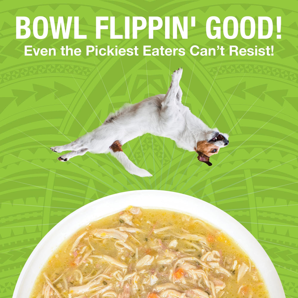 KOHA Pure Shreds served in bowl for mealtime appeal