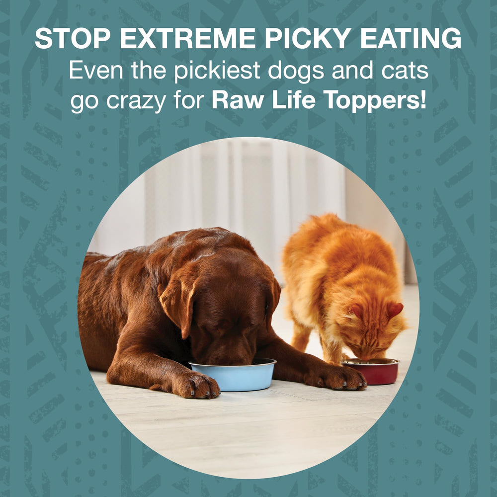KOHA Raw Life Elk & Venison topper close-up bites show high-protein flavor with probiotics.