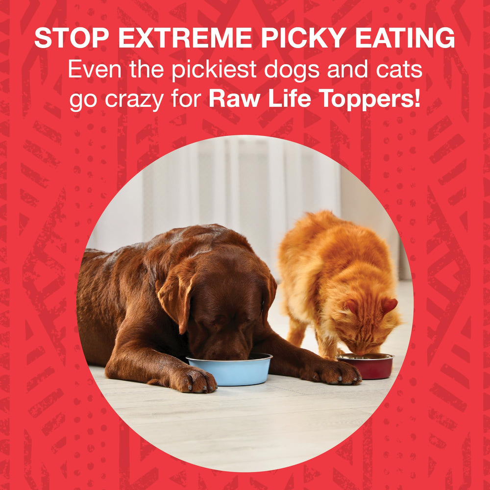 KOHA Raw Life Beef Topper over kibble enhances flavor and texture for meal appeal.